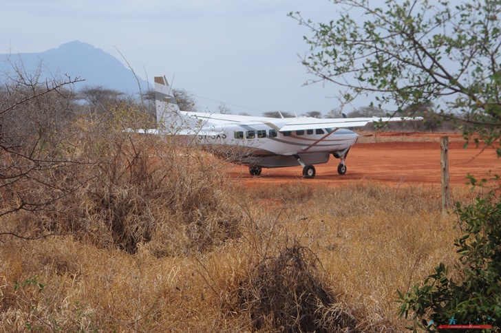 こんな飛行機が発着します